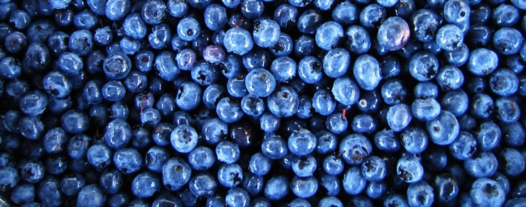 blueberrydarake